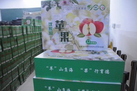 蓝关飘香