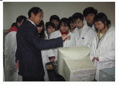 单片机嵌入式开发实训
