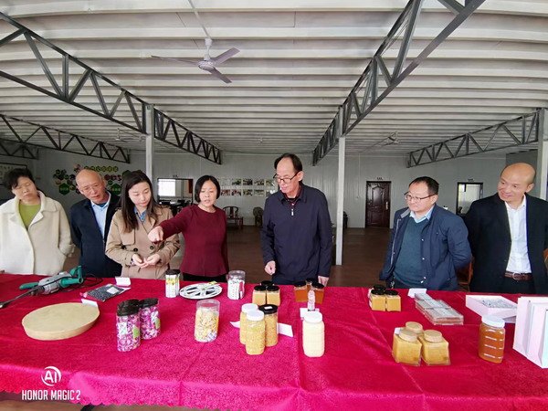 继续浏览4月7日