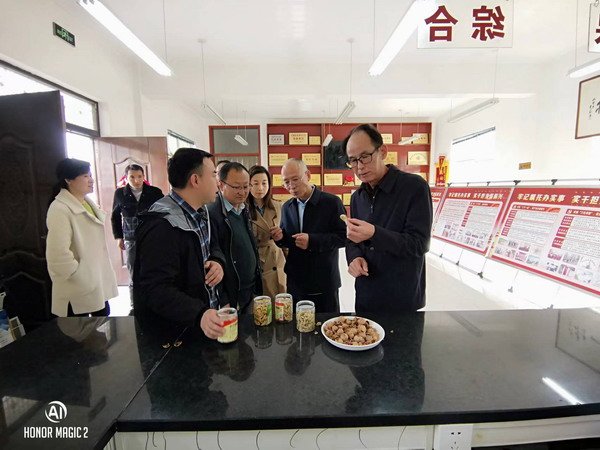 逐步加大合作力度